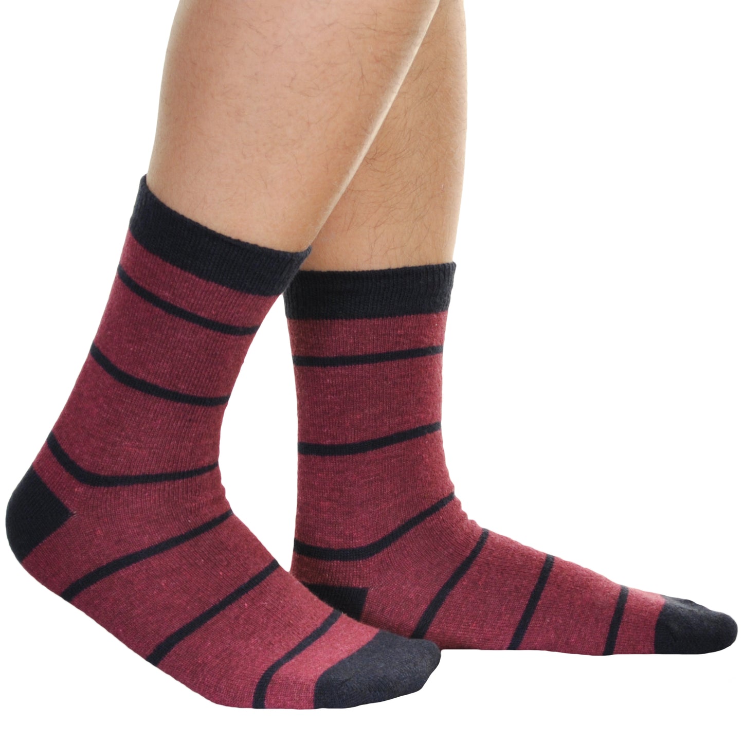 Swan Men's Wool Blend Crew Socks (6-Pairs), #9145