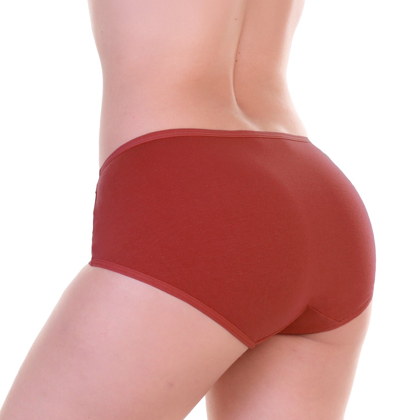 Angelina Cotton Classic Mid-Rise Brief Panties with Lace Detail (12-Pack), #G6911