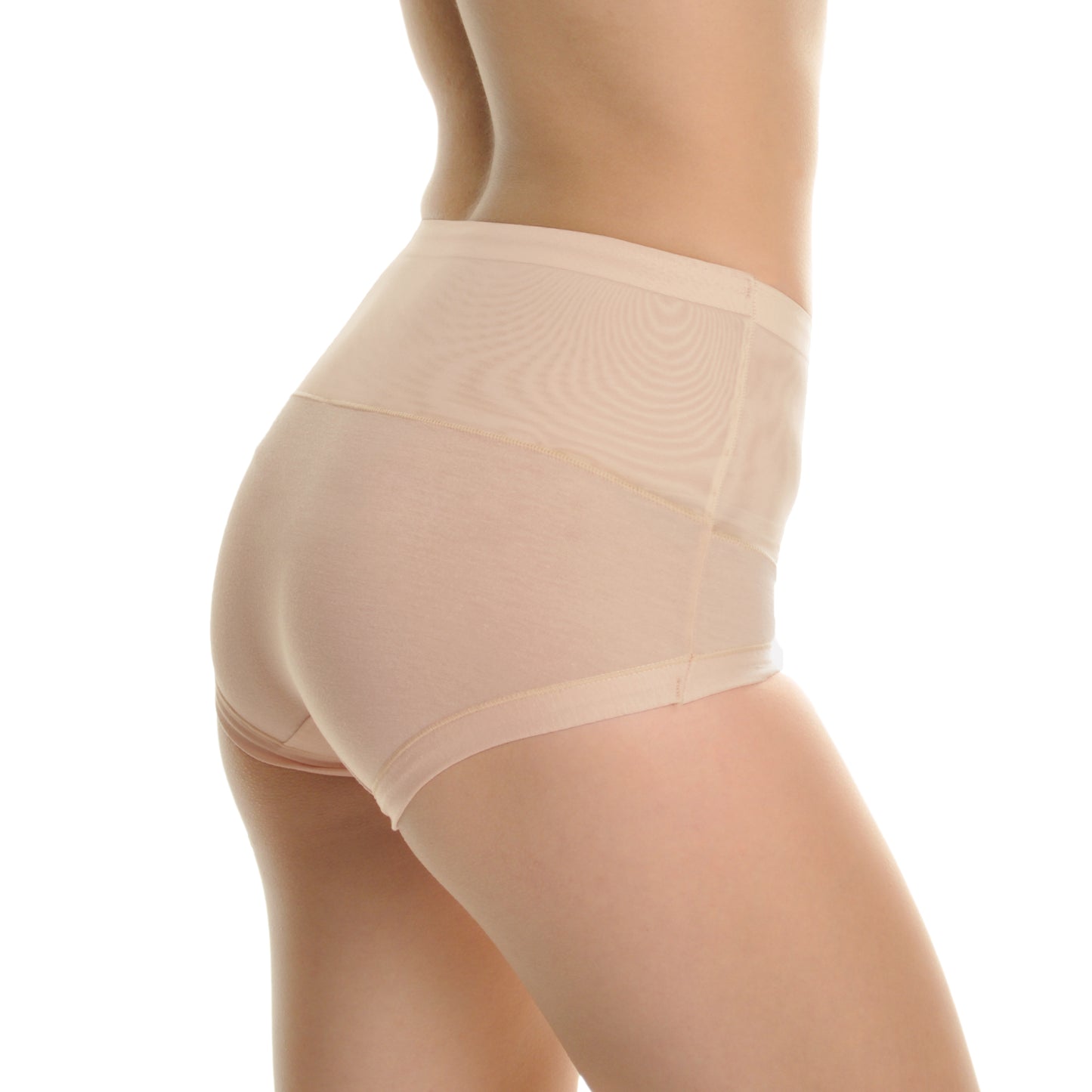 Angelina Cotton High Waist Briefs with Light Control Mesh Waist (6-Pack), #G6257