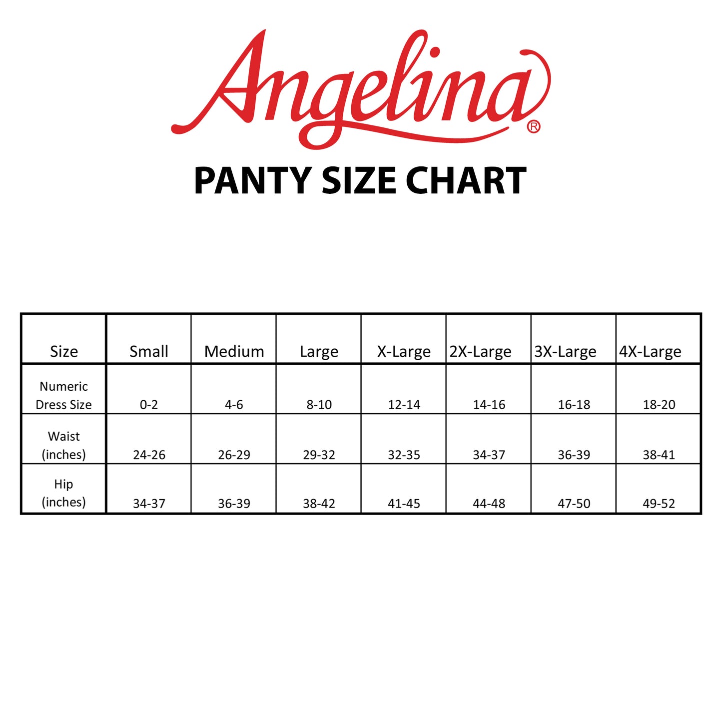 Angelina Lace Cheeky Thong Panties (6 or 12 Pack), #B364