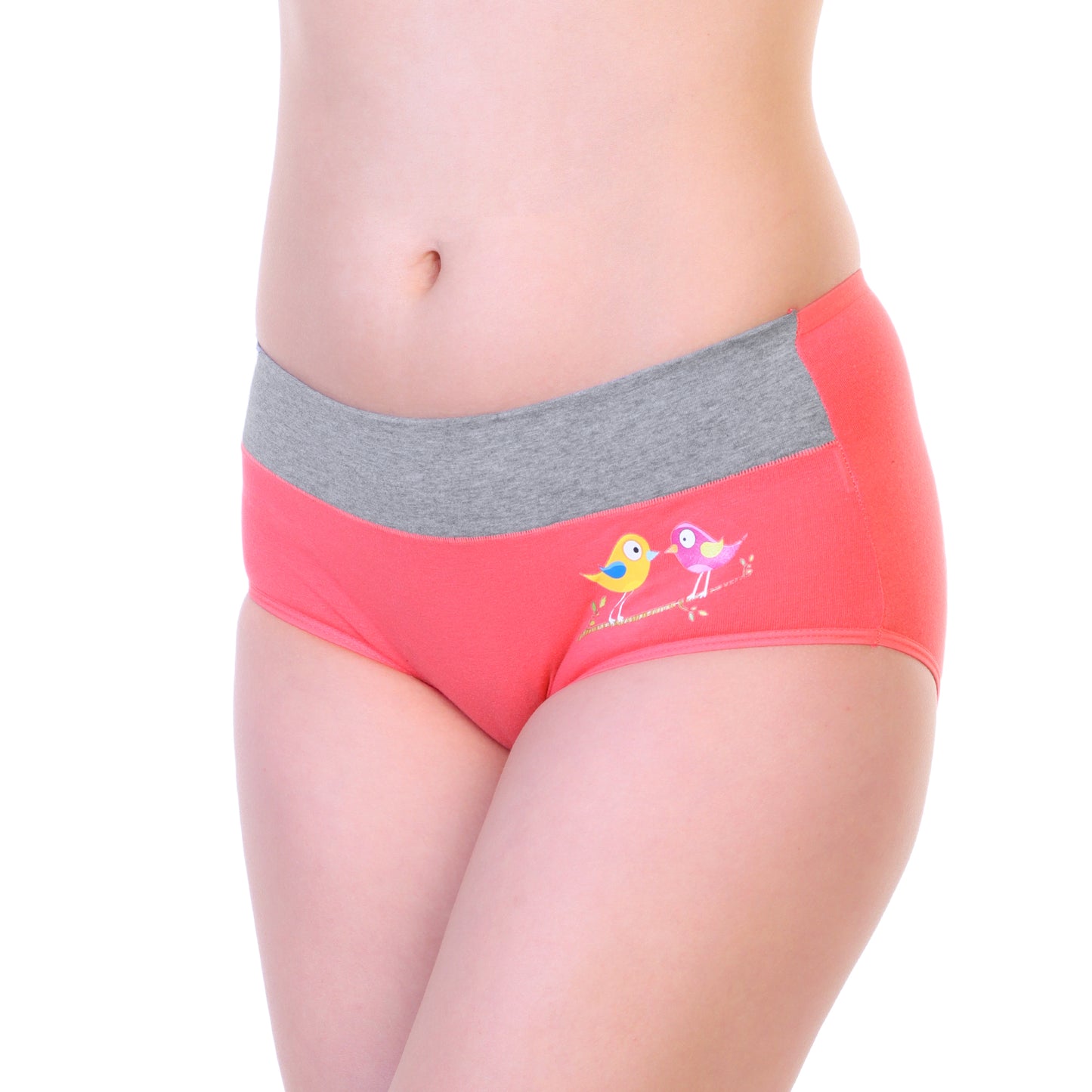 Angelina Cotton Comfort Mid-Rise Brief Panties with Bird Print Design (12-Pack), #G6656