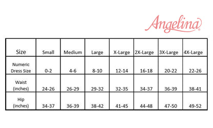 Angelina Nylon High Waist Classic Briefs (12-Pack), #G888