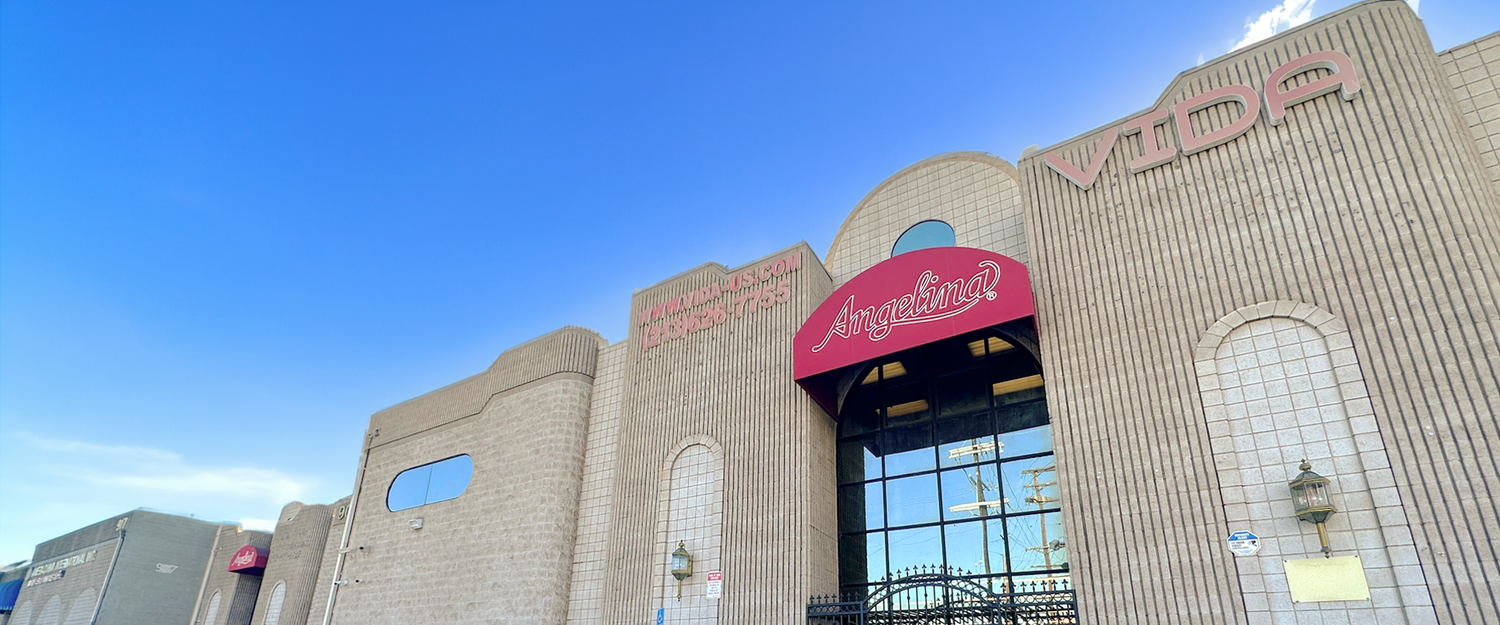 VIDA VIDA Enterprise Corp.